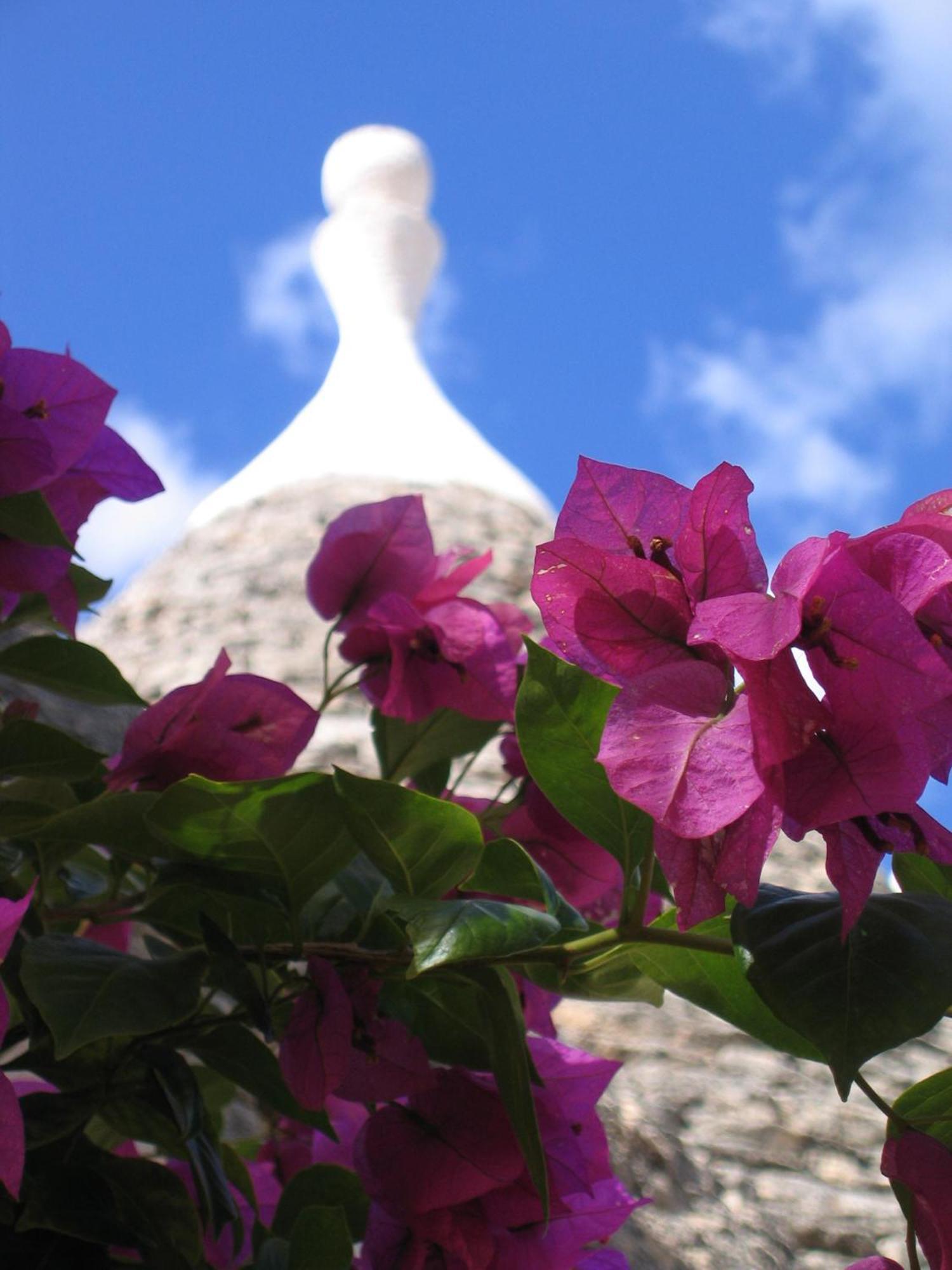 Vacanza In Puglia アルベロベッロ エクステリア 写真