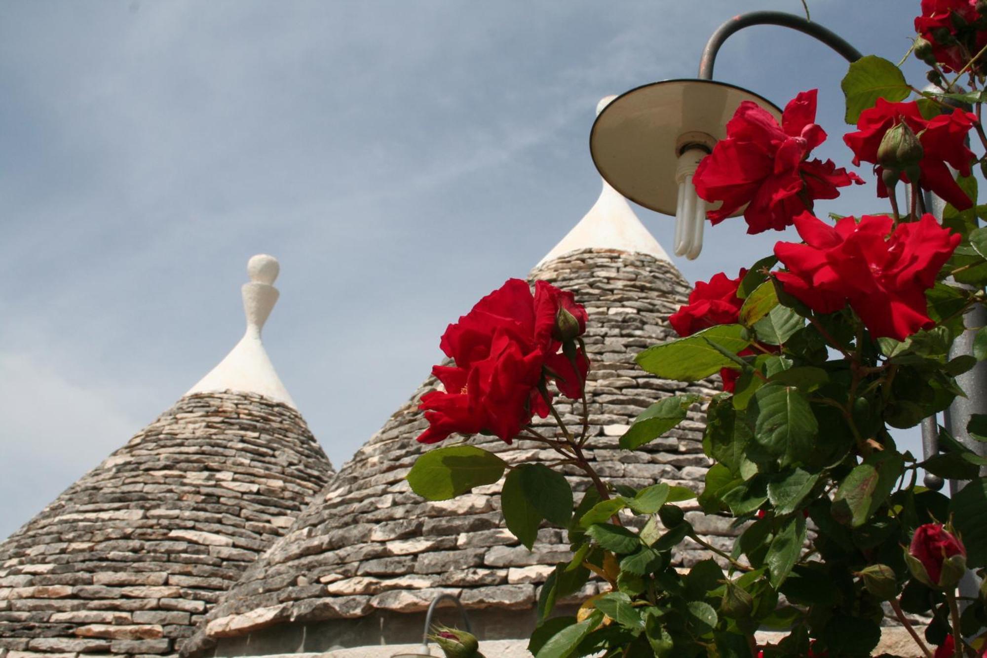 Vacanza In Puglia アルベロベッロ エクステリア 写真