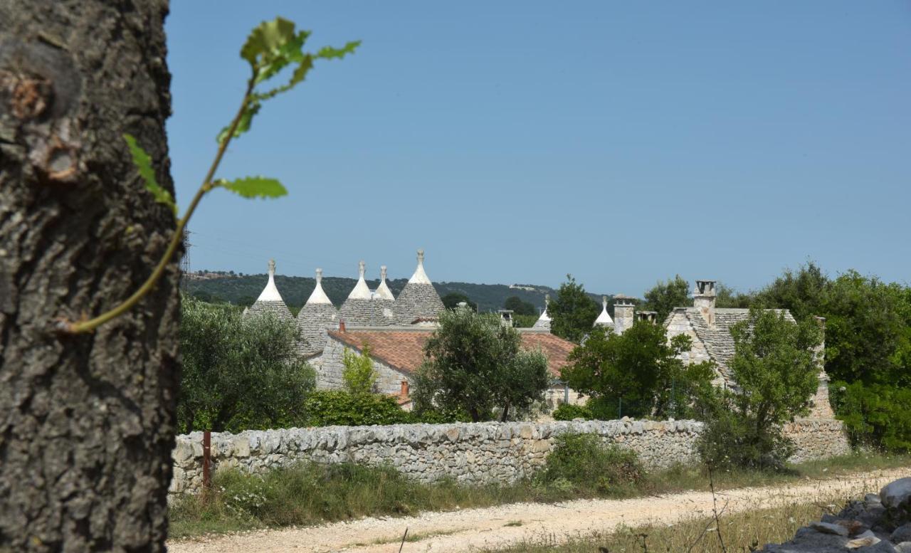 Vacanza In Puglia アルベロベッロ エクステリア 写真